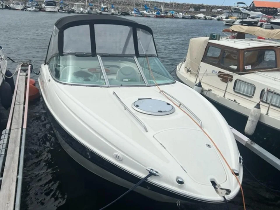 Bayliner Cuddy 802 gebraucht - Foto 1