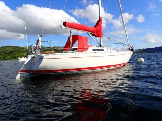 Albin Cumulus 8.5 m used - photo 1