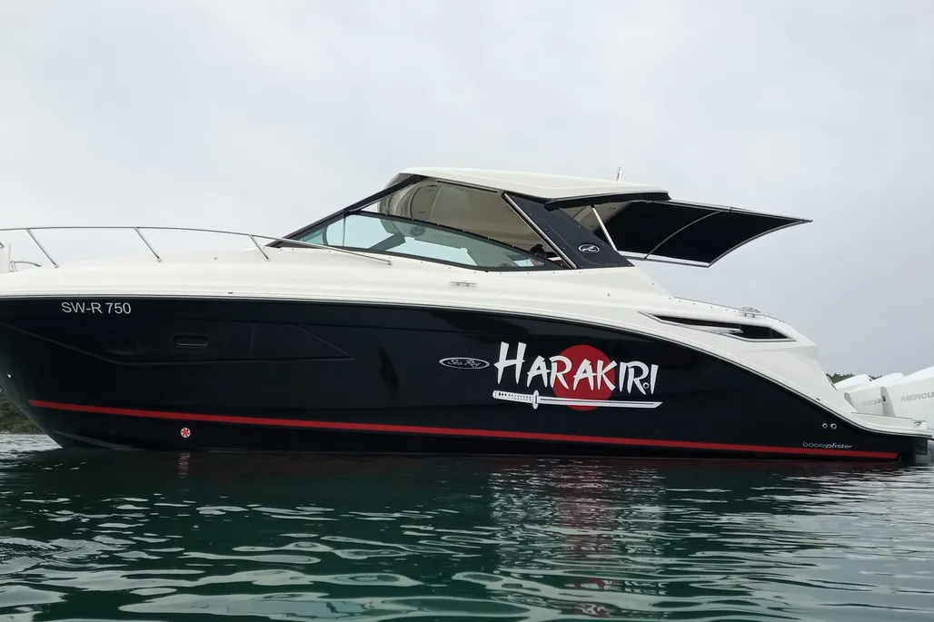 Sea Ray Sundancer 320 usato - foto 1