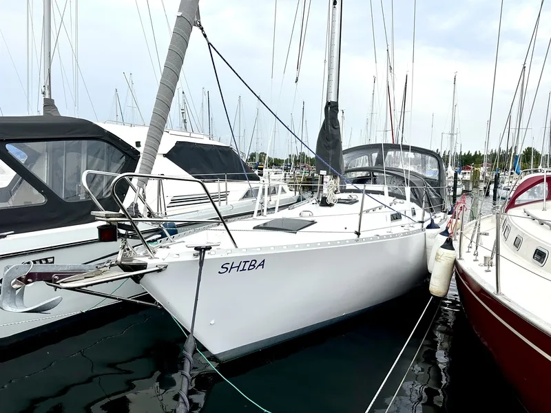 Forgus 31 used - photo 1