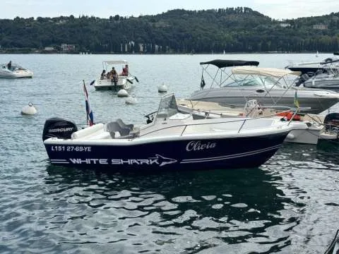 White Shark 205 d'occasion - photo 1