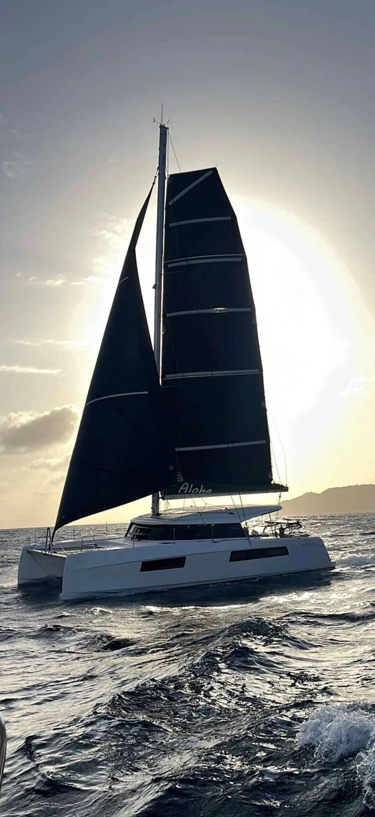 Nautitech 44 OPEN d'occasion - photo 1