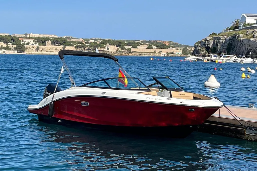 Sea Ray SPX 210 Outboard gebraucht - Foto 1