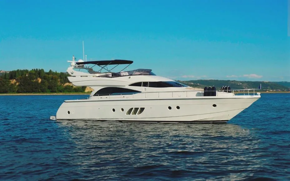 Dominator 620S d'occasion - photo 1