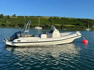 Promarine Helios 25 gebraucht - Foto 1