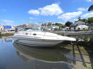 Sea Ray 250 Sundancer gebraucht - Foto 1