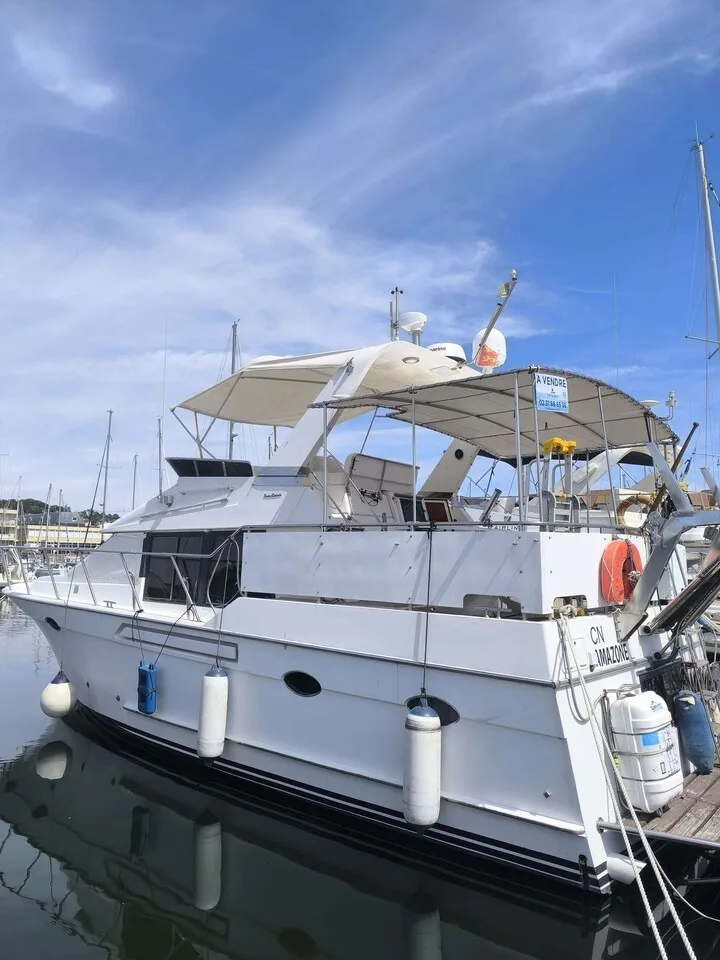 Ocean Alexander 390 used - photo 1