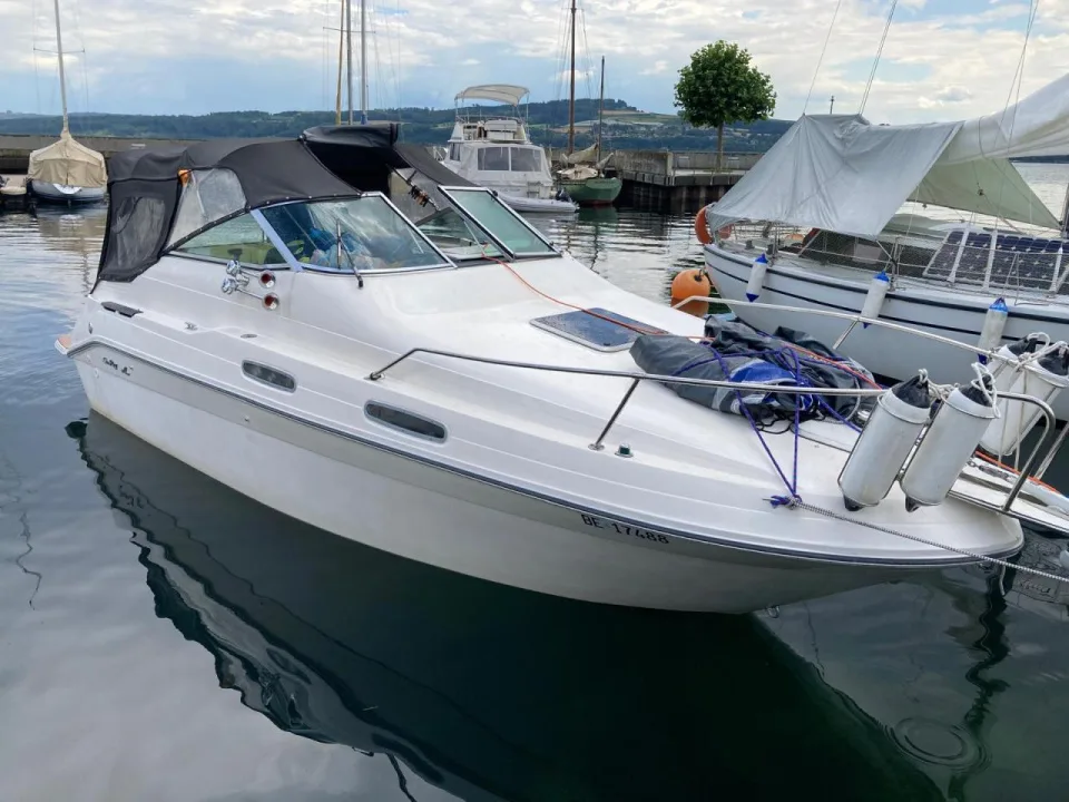 Sea Ray 230 DA LTD gebraucht - Foto 1