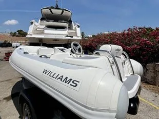 Williams Turbojet 325 S used - photo 1