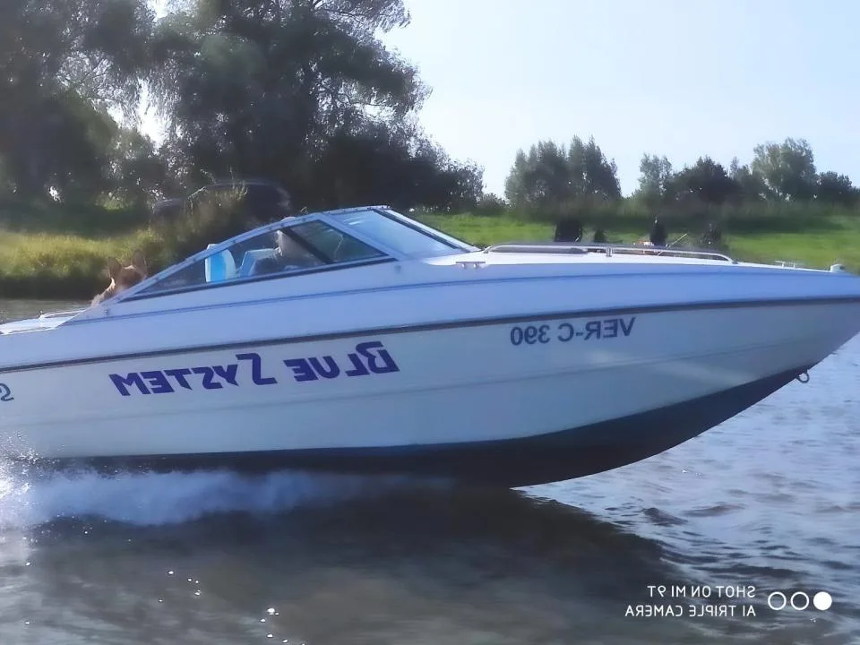 Stingray Daycruiser 599 ZPX used - photo 1