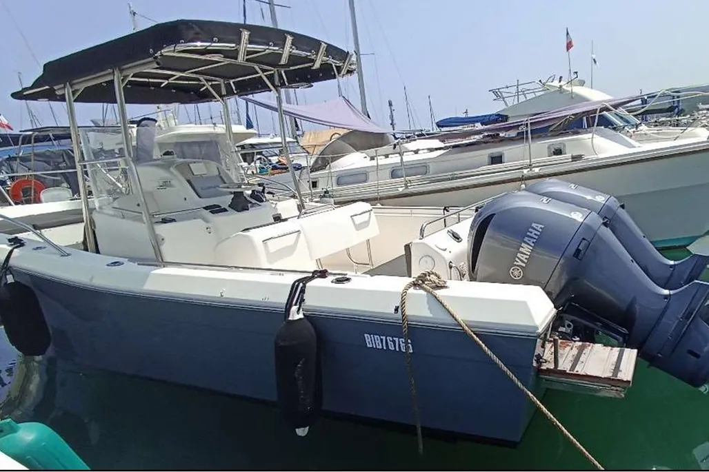 White Shark 285 d'occasion - photo 1