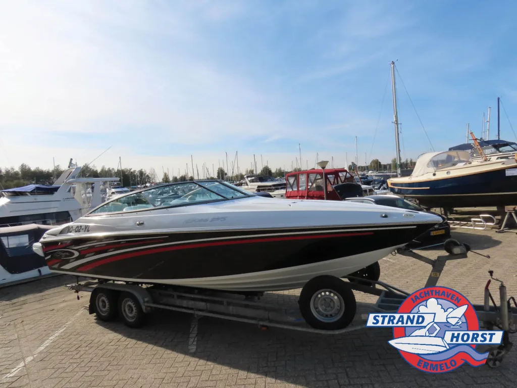 Baja Marine Baja Boss 245 d'occasion - photo 1