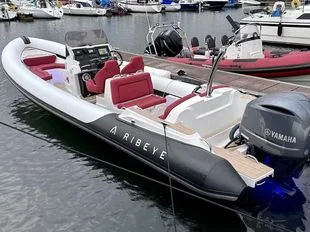 Ribeye A811 w/ Yamaha 300HP gebraucht - Foto 1