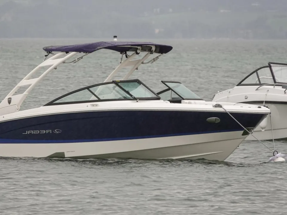 Regal LS2 gebraucht - Foto 1