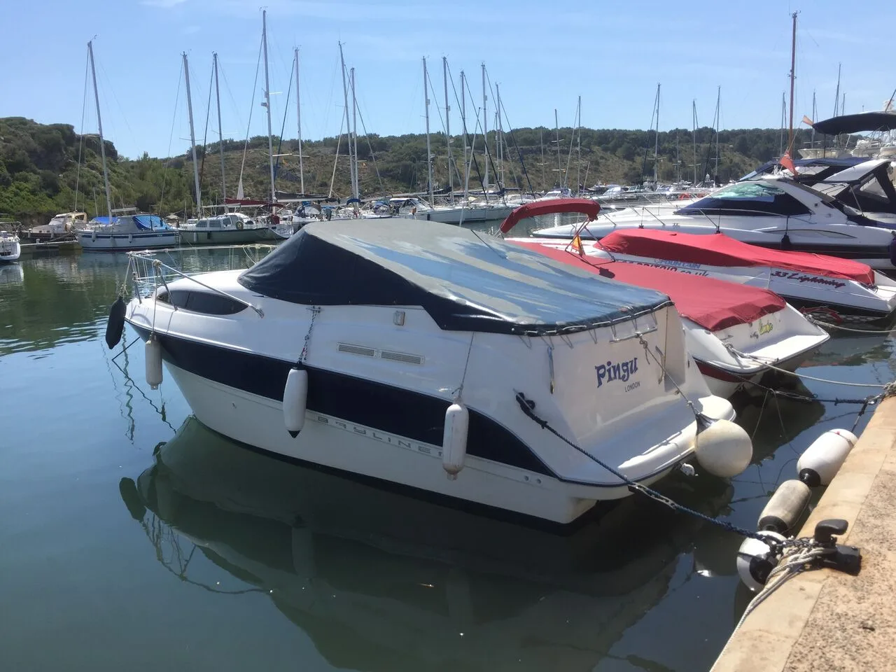 Bayliner 245 gebraucht - Foto 1