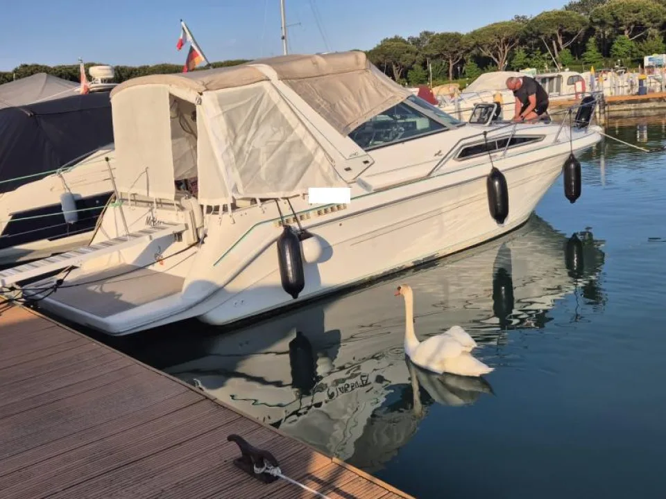 Sea Ray 290 DA gebraucht - Foto 1