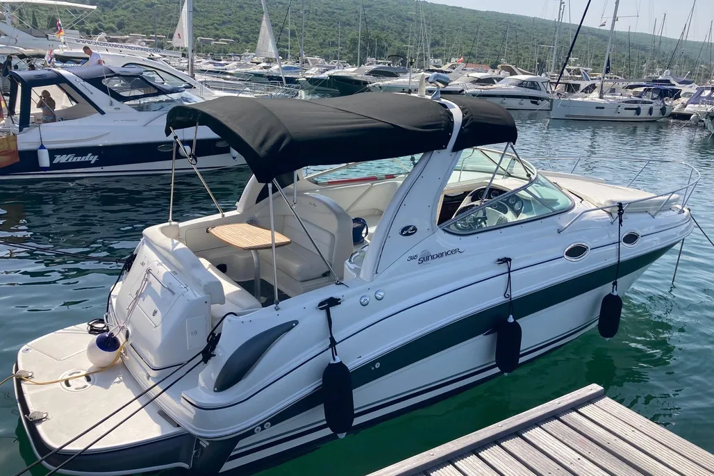 Sea Ray 315 DA usato - foto 1