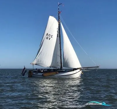 Lemsteraak Zonnewind - Roefuitvoering used - photo 1
