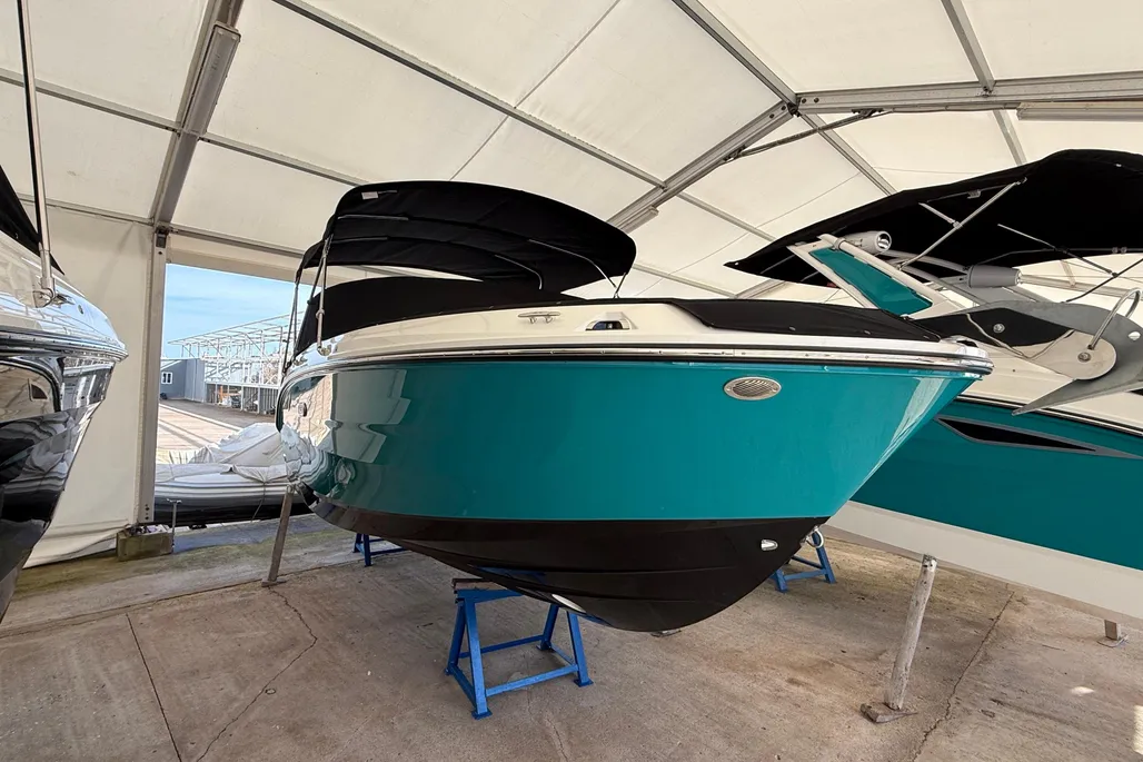 Sea Ray SDX 230 usato - foto 1