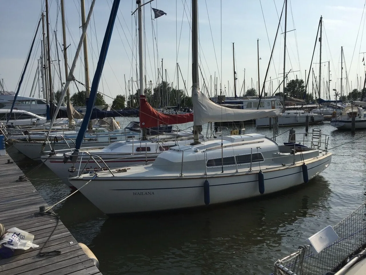 Van de Stadt Bries used - photo 1