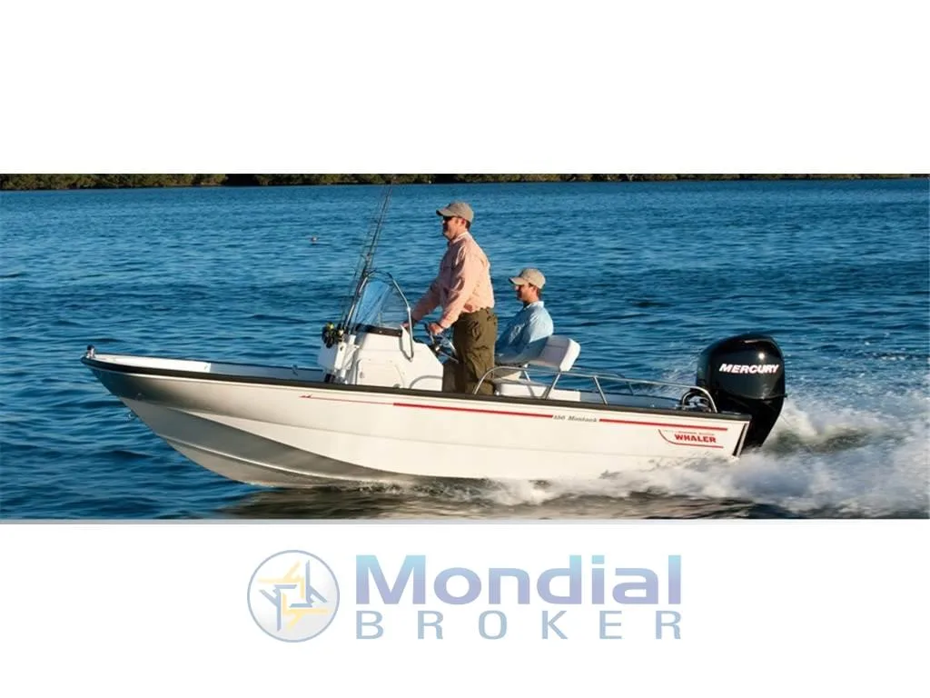 Boston Whaler 150 MONTAUK used - photo 1