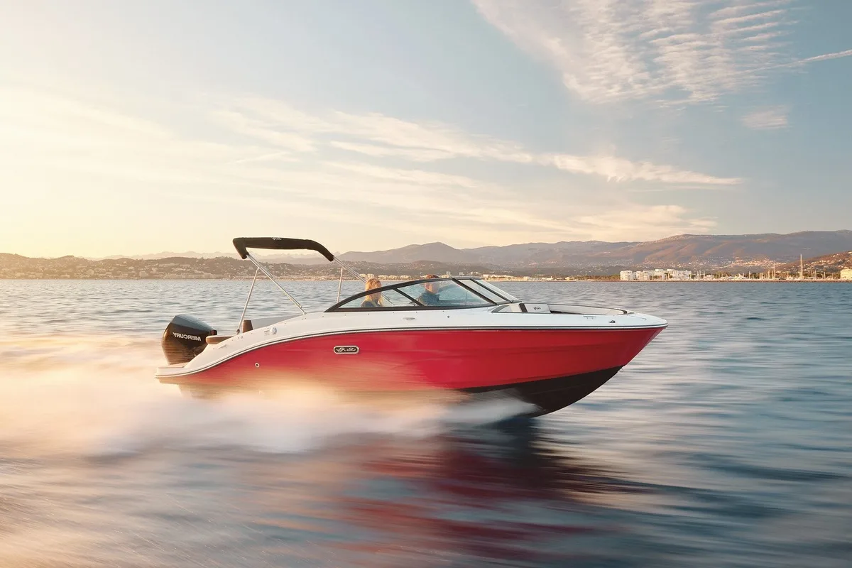 Sea Ray SPX 210 Outboard gebraucht - Foto 1