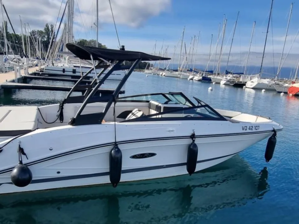 Sea Ray SPX 230 Europe gebraucht - Foto 1