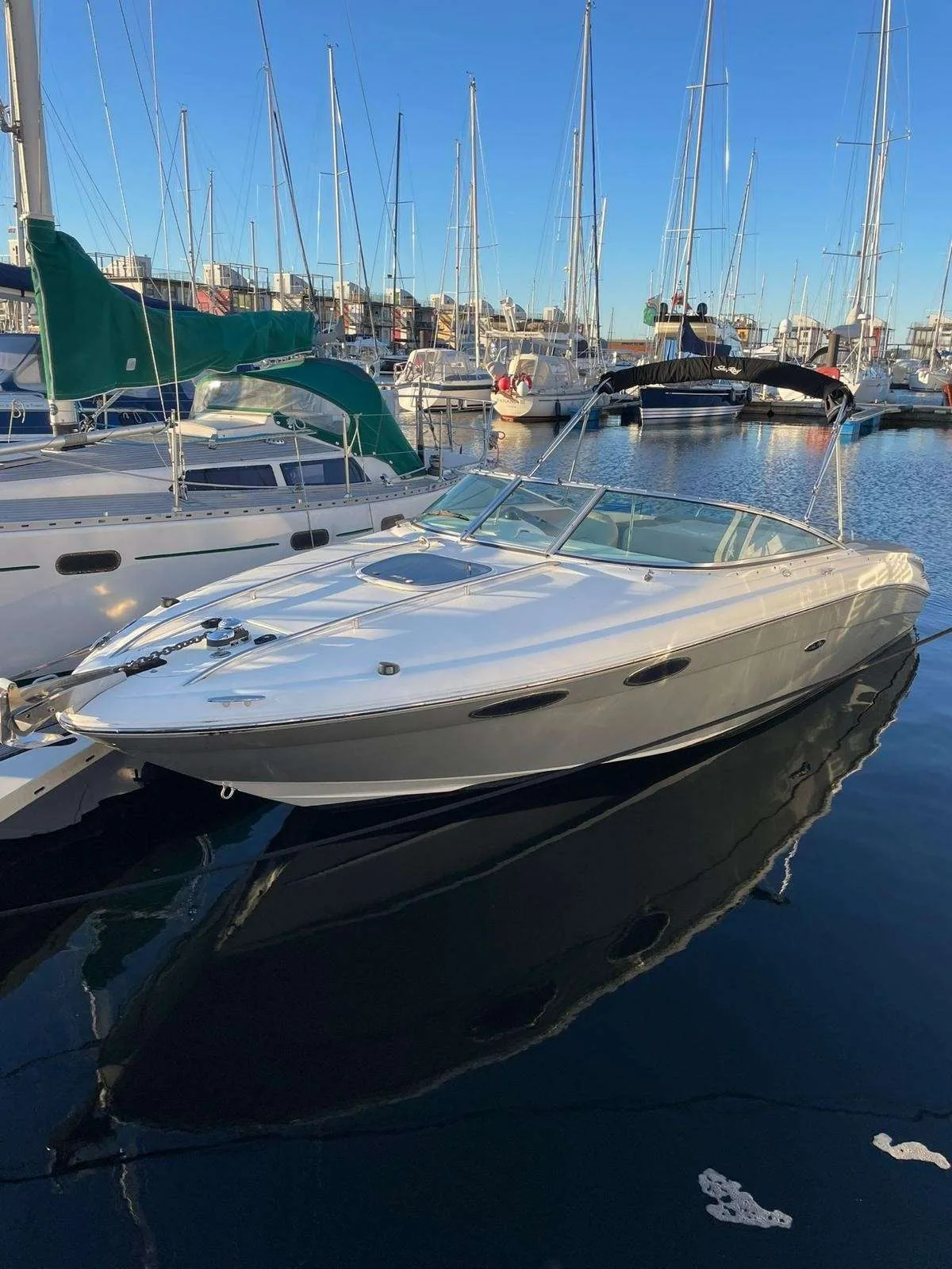 Sea Ray 240 SUN SPORT EUROPE gebraucht - Foto 1