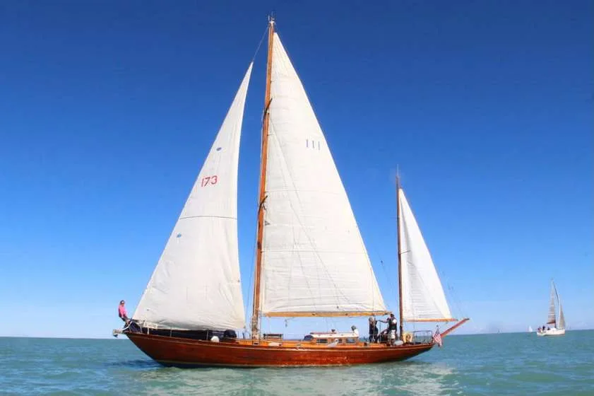 Sangermani YAWL MARCONI used - photo 1