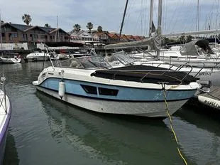 Quicksilver Activ 805 Cruiser gebraucht - Foto 1