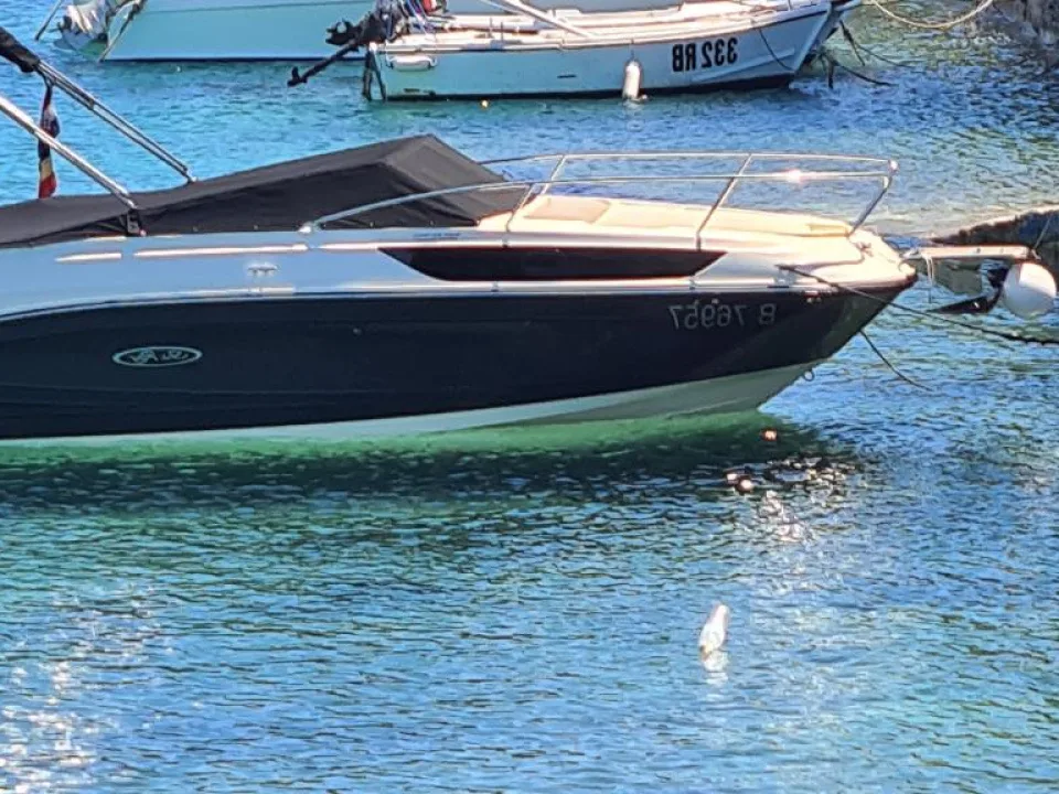 Sea Ray Sunsport 230 SPX usato - foto 1