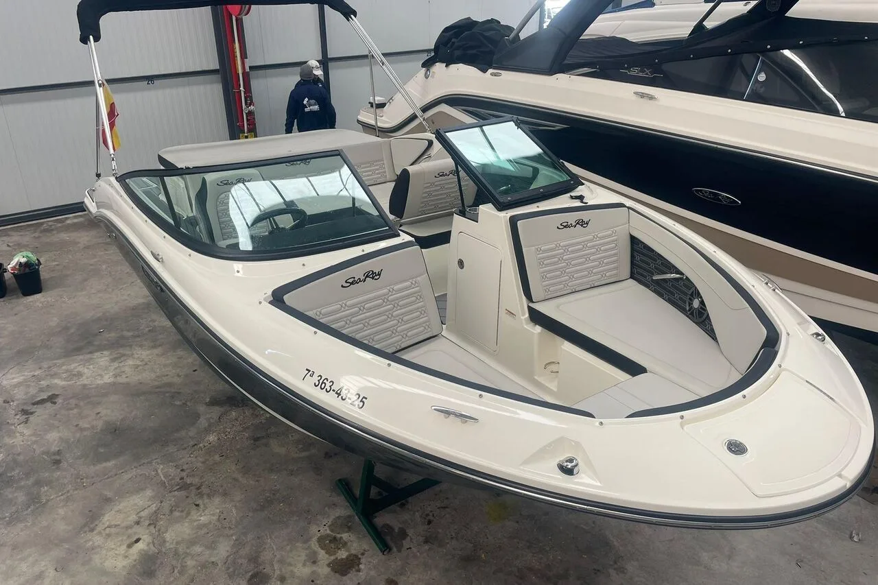 Sea Ray SPX 190 gebraucht - Foto 1