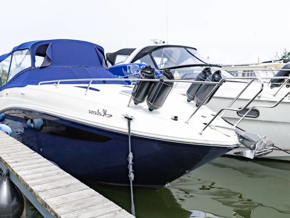Sea Ray Sundancer 265 DAE usato - foto 1