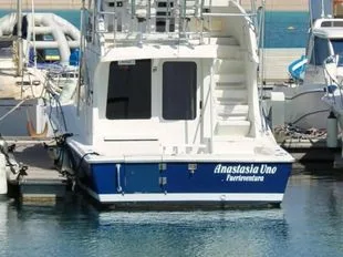 Luhrs 340 Convertible used - photo 1