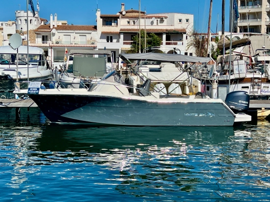 White Shark 240 SPORT CABIN d'occasion - photo 1 White Shark 240 SPORT CABIN d'occasion - photo 1