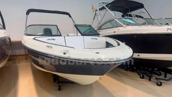 Sea Ray SPX 190 OB gebraucht - Foto 1