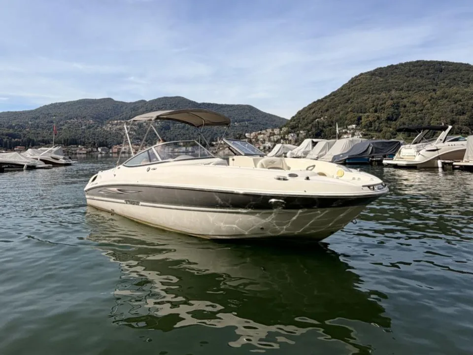 Stingray 235 DR used - photo 1