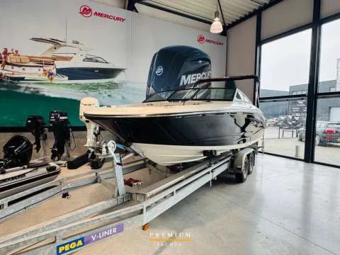 Sea Ray SPX 190 OB used - photo 1