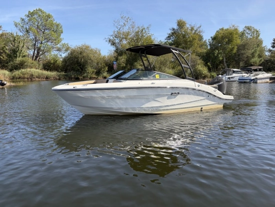 Sea Ray SPX 210 O B gebraucht - Foto 1