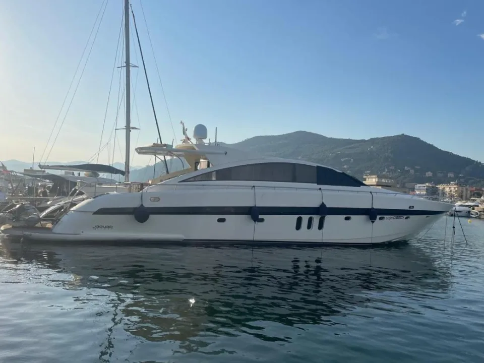 Jaguar 24 sport HT usato - foto 1