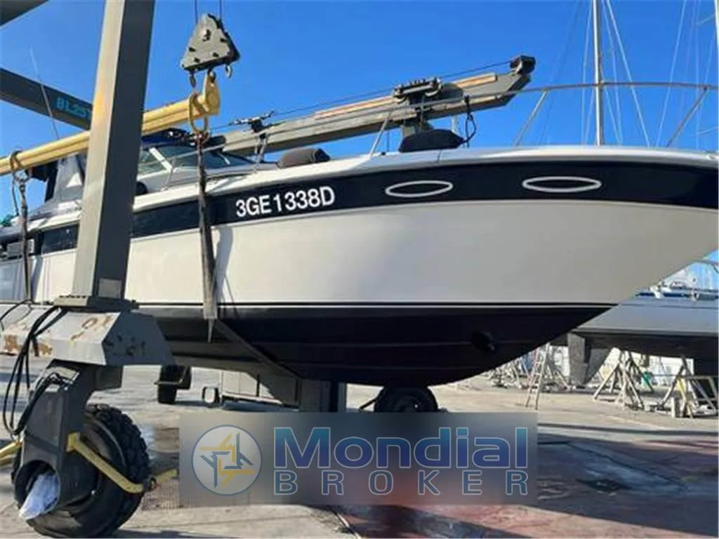 Sea Ray 37 used - photo 1