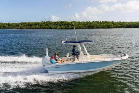 Boston Whaler 220 Dauntless used - photo 1