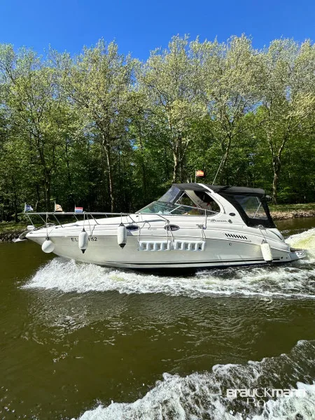 Sea Ray 315 Sundancer used - photo 1