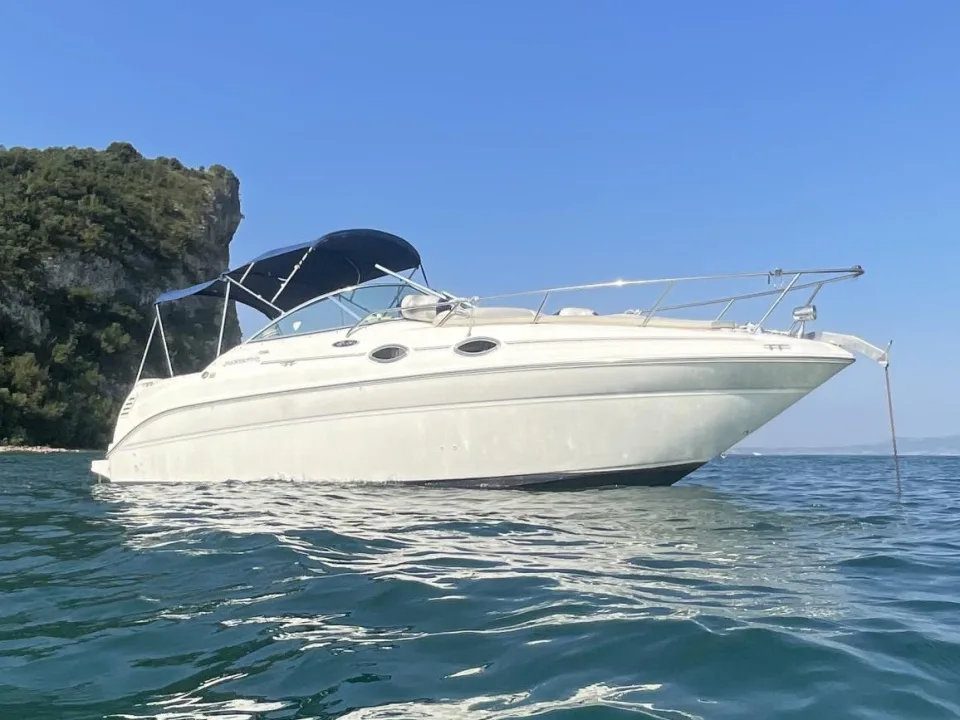 Sea Ray Sundancer 260 gebraucht - Foto 1