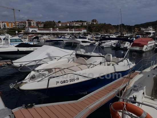 Quicksilver 800 WA gebraucht - Foto 1