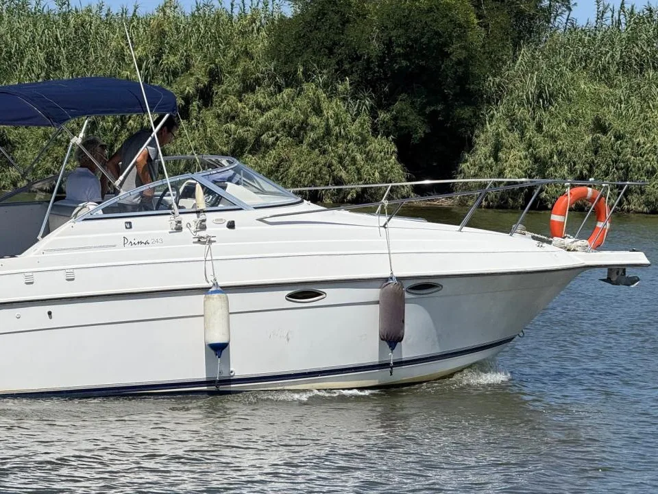 Wellcraft 243 Prima gebraucht - Foto 1