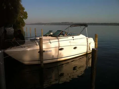 Rinker 260 EC usato - foto 1