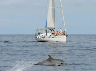 Bavaria Yachts Cruiser 45 gebraucht - Foto 1