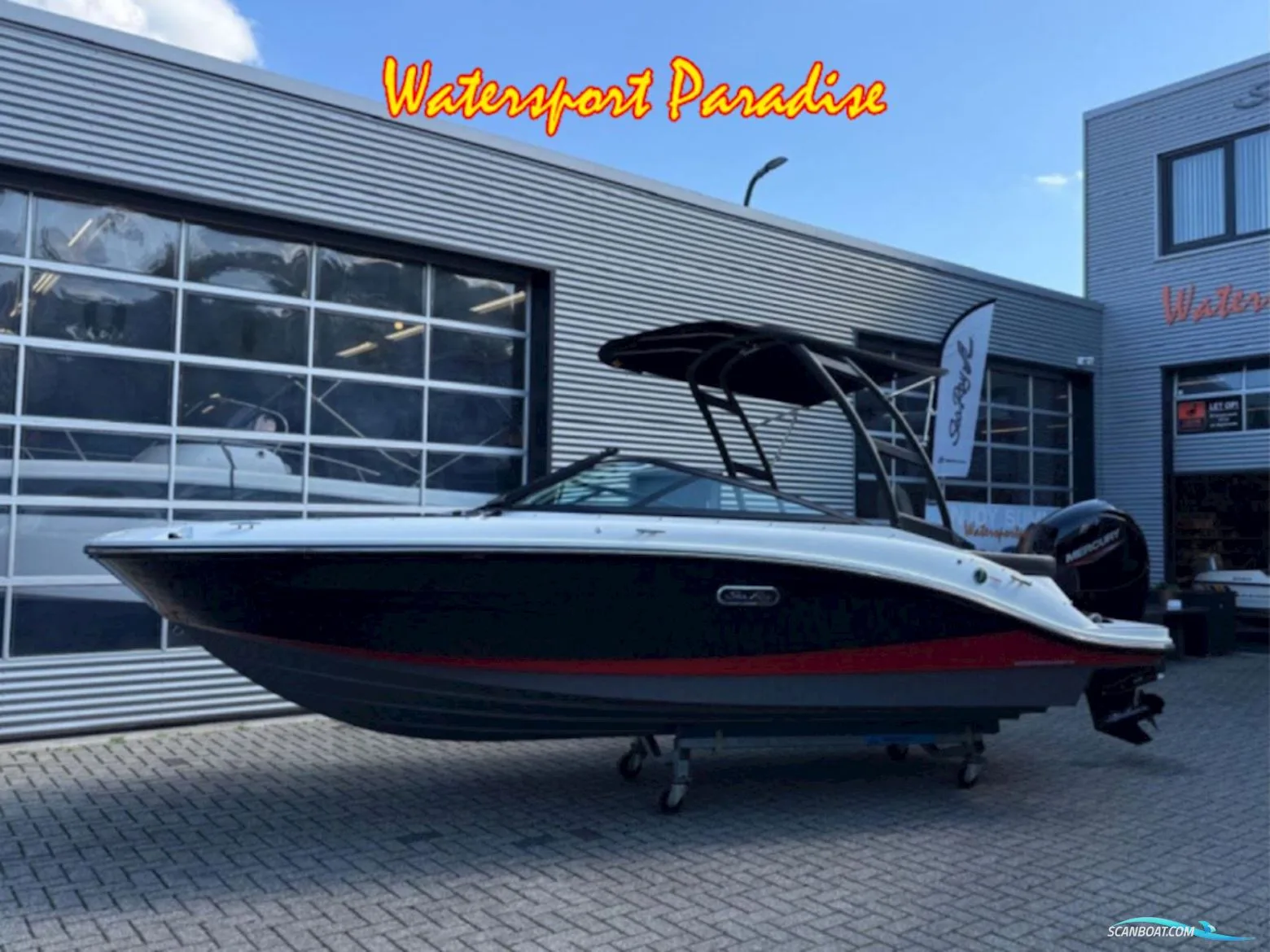 Sea Ray Spx 190 Outboard d'occasion - photo 1