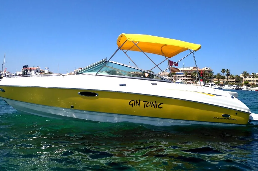 Chaparral 246 SSi used - photo 1